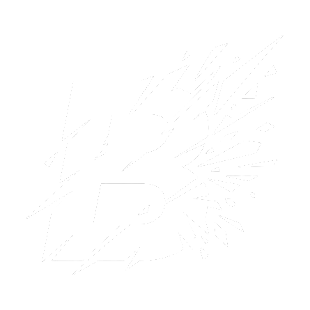 BymVPN